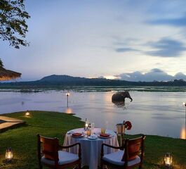 SRİ LANKA G9 2026 (CMB-CMB)  HABARANA (2) & KANDY (1) & NUWARA ELİYA (1) & GALLE (1)