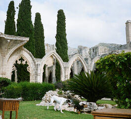 Bellapais Monastery Village