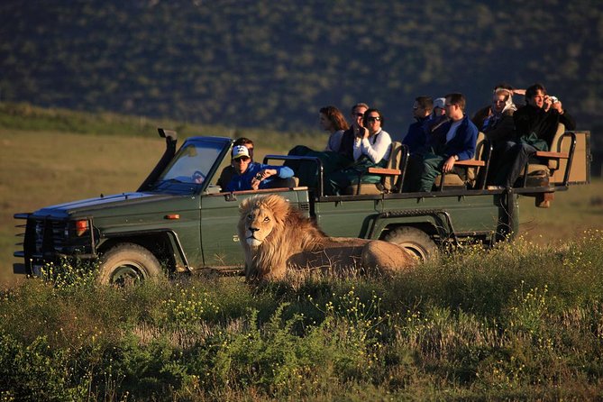 Dolu Dolu Güney Afrika Safari Turu Rotası V2