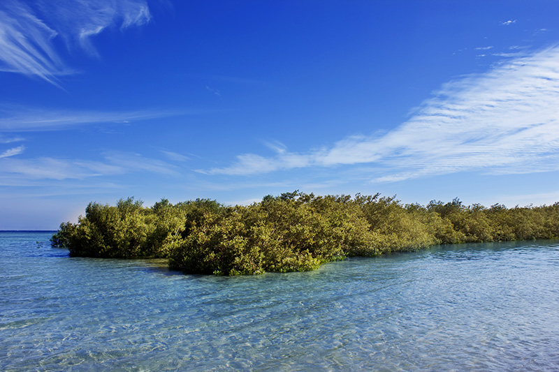 Sharm El Sheikh - Kızıldeniz Rotası (THY ile 3 Gece) 