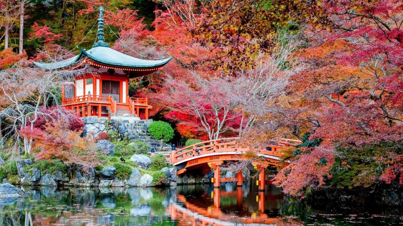 Japonya Kore Turu THY NRT İle 11 Gece 12 Gün - 2025