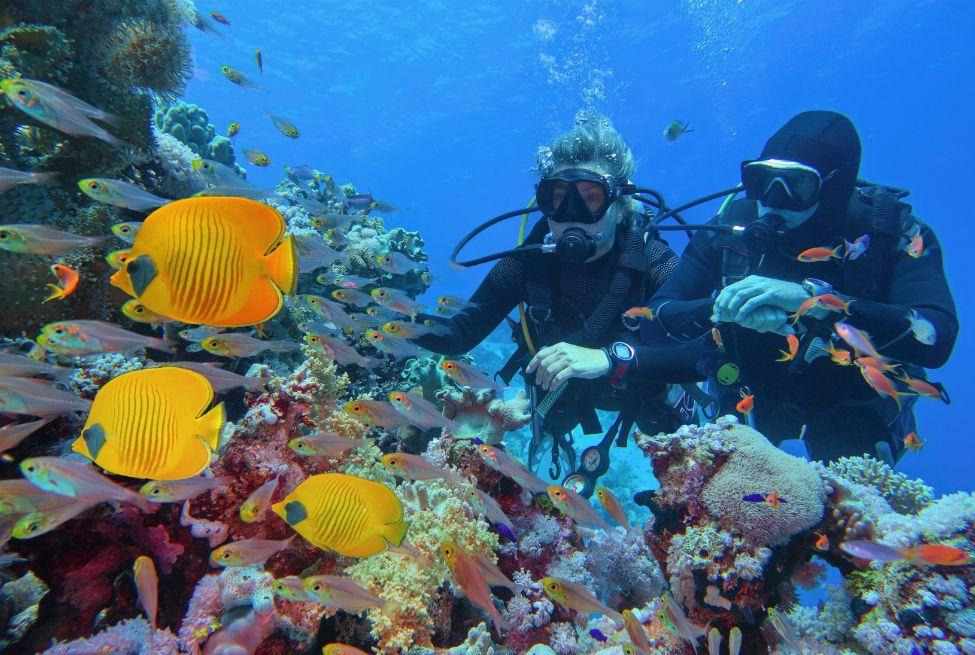 Promosyon Sharm El Sheikh Turu Ajet Havayolları ile 4 Gece Otelden Erken Çıkışlı