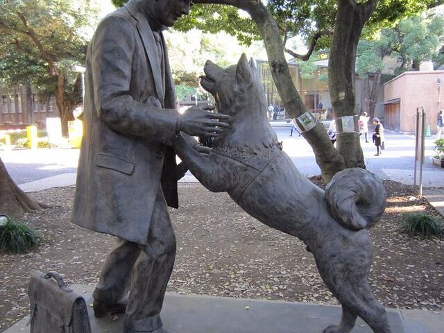 Tokyo Turu 12-19 Ocak Etihad Hava Yolları İle - Şehir Turu Dahil