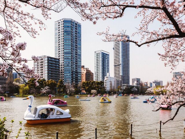 Tokyo Turu 12-19 Ocak Etihad Hava Yolları İle - Şehir Turu Dahil