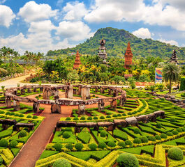 Dolu Dolu Phuket & Pattaya & Bangkok Turu