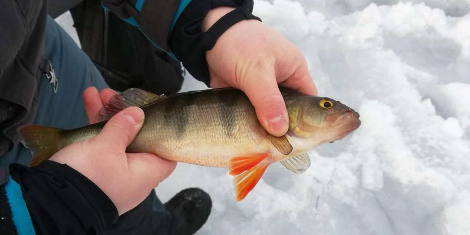 Ankara Çıkışlı Lapland Çifte Yılbaşı