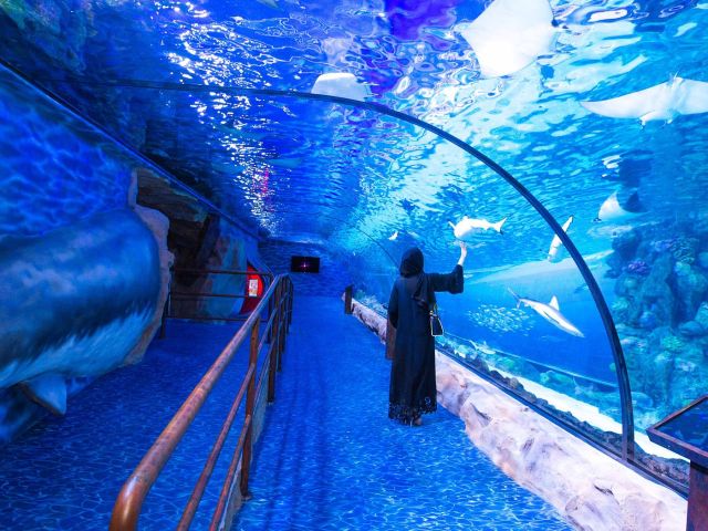 ÇÖL ÇİÇEĞİ DUBAİ & ABU DHABİ TURU // SÖMESTR ÖZE