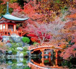 Thy Ile Grand Japonya Turu NRT-KIX - Vizesiz