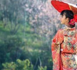 BÜYÜK JAPONYA 2026 TK (HND-KIX)