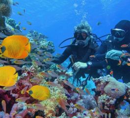 Süper Promo Piramitlerden Kızıl Denize Kahire & Sharm El Sheikh Turu Rotası V4