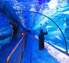 Çölün Ortasındaki Vaha Prestij Dubai Turu FlyDubai Hava Yolları ile Dubai Şehir Turu Dahil 3 Gece  (402)