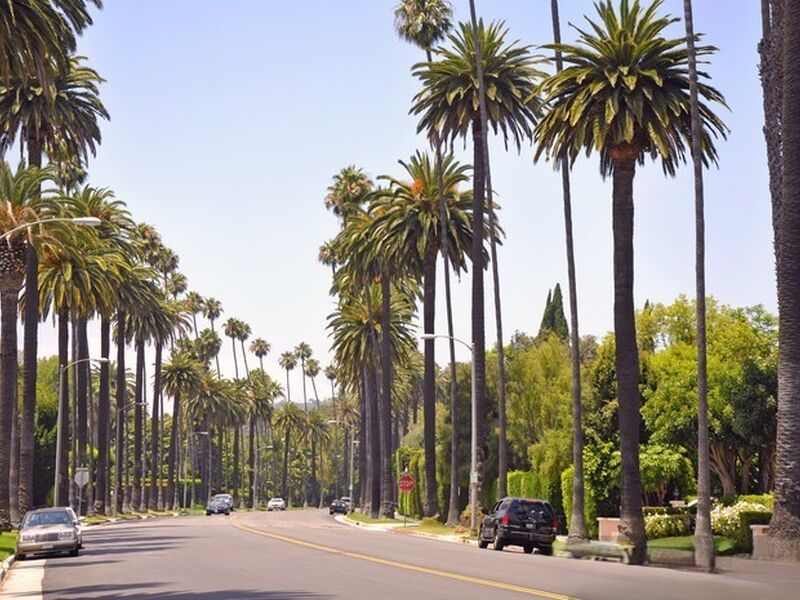 Los Angeles & Las Vegas & San Francisco Batı Amerika Rotası