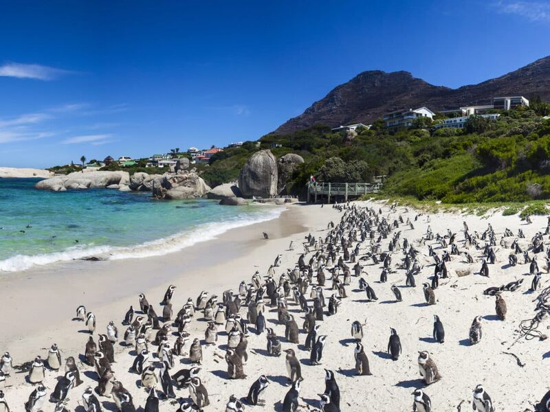 Güney Afrika Safari Turu Rotası