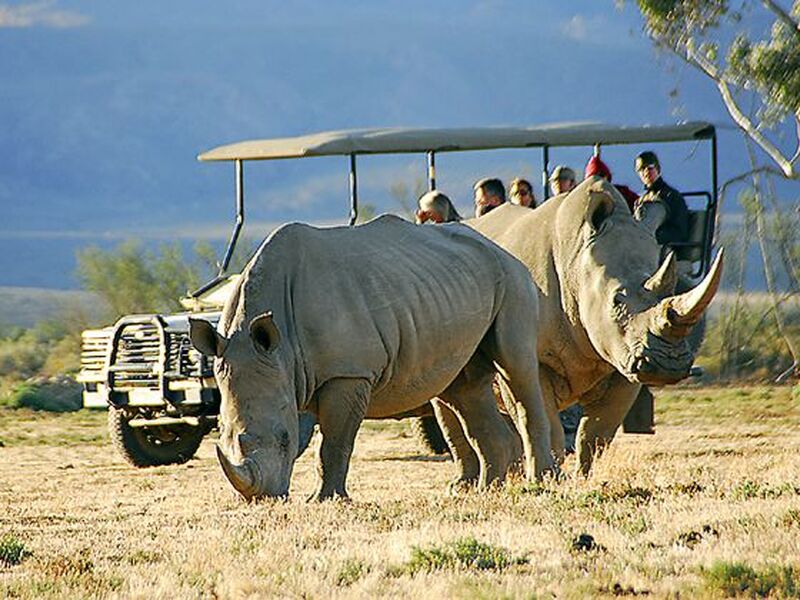 Güney Afrika Safari Turu Rotası