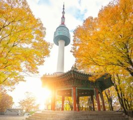 Japonya & Kore Turu Mistik Rotalar (5 Gece)