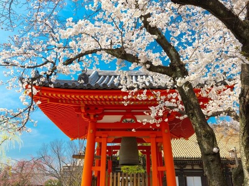Dolu Dolu Direkt Sefer İle Japonya Turu