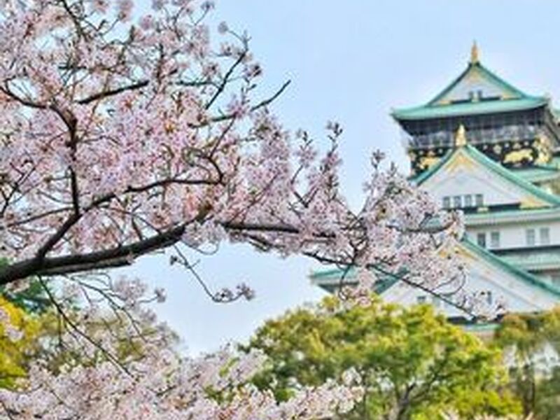 Dolu Dolu Direkt Sefer İle Japonya Turu