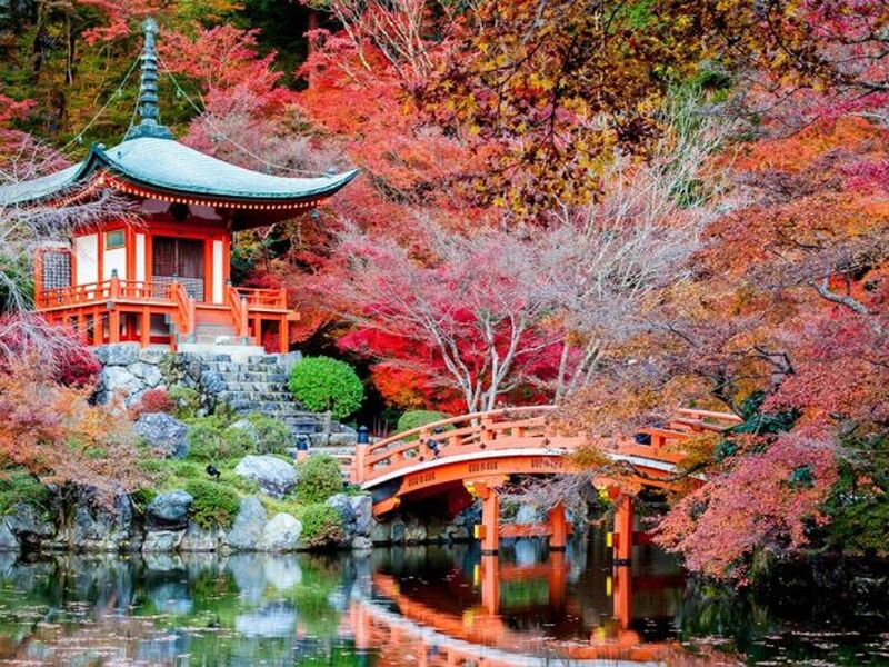 Dolu Dolu Direkt Sefer İle Japonya Turu