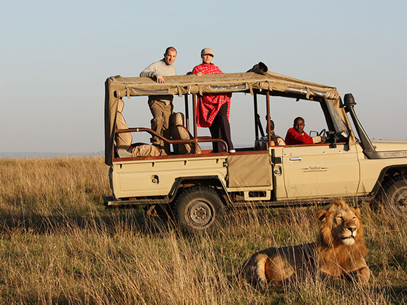 Kenya Safari Turu Air Arabia Havayolları ile Her Pazar Hareket
