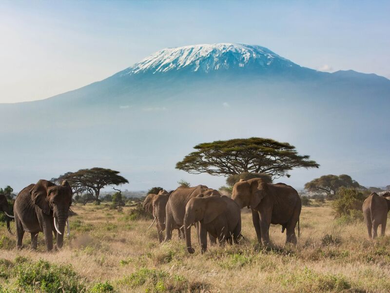 Kenya Safari Turu Air Arabia Havayolları ile Her Pazar Hareket