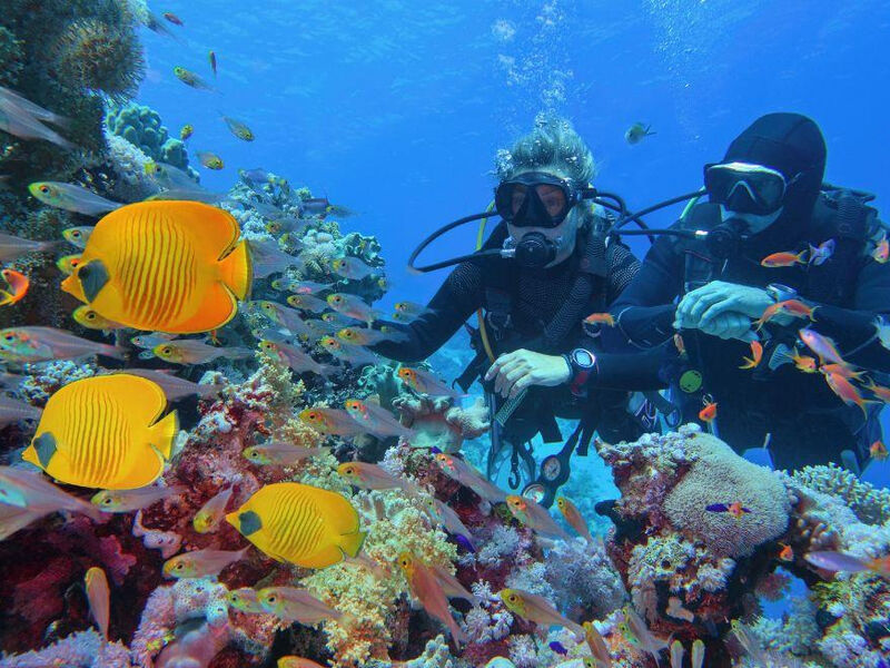 Maxi Her Şey Dahil Dahil Sharm El Sheikh Turu Pegasus Havayolları ile 4 Gece (SSH-SSH) IS001