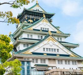 Elegant Japonya All Nippon Hava Yolları ile 6 Gece (FLY131)