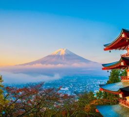 Flyexclassıc - Klasik Japonya & Güney Kore Türk Hava Yolları ile 7 Gece (FLY134)