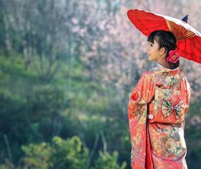 Japonya & Kore Turu Mistik Rotalar