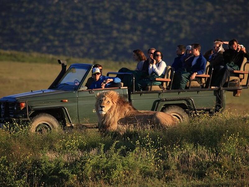 Dolu Dolu Güney Afrika Safari Turu Rotası V2